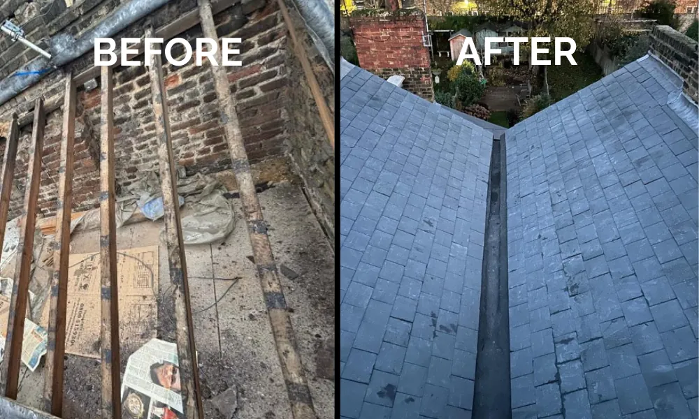 Roof Cleaning